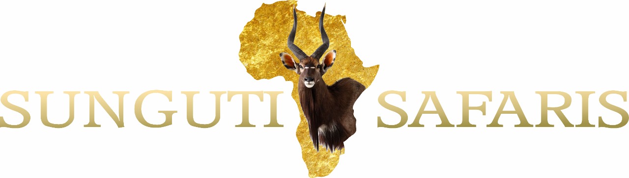 affordable african hunting safari